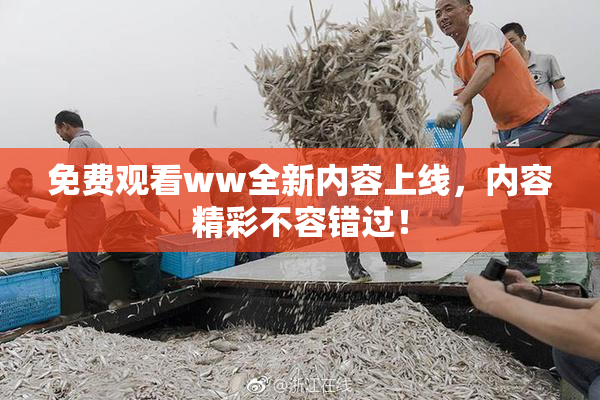 免费观看ww全新内容上线，内容精彩不容错过！