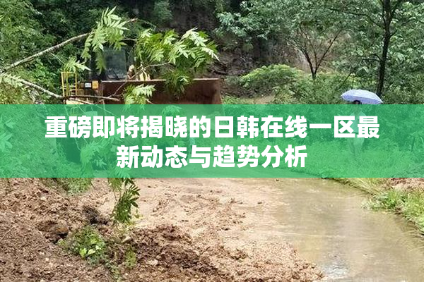 重磅即将揭晓的日韩在线一区最新动态与趋势分析
