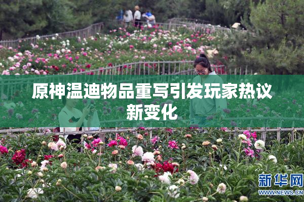 原神温迪物品重写引发玩家热议新变化