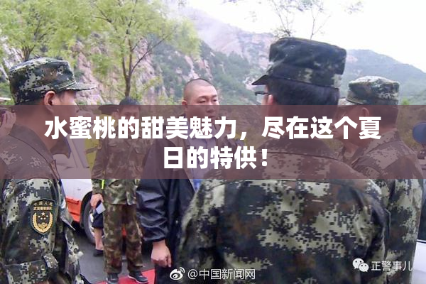 水蜜桃的甜美魅力，尽在这个夏日的特供！