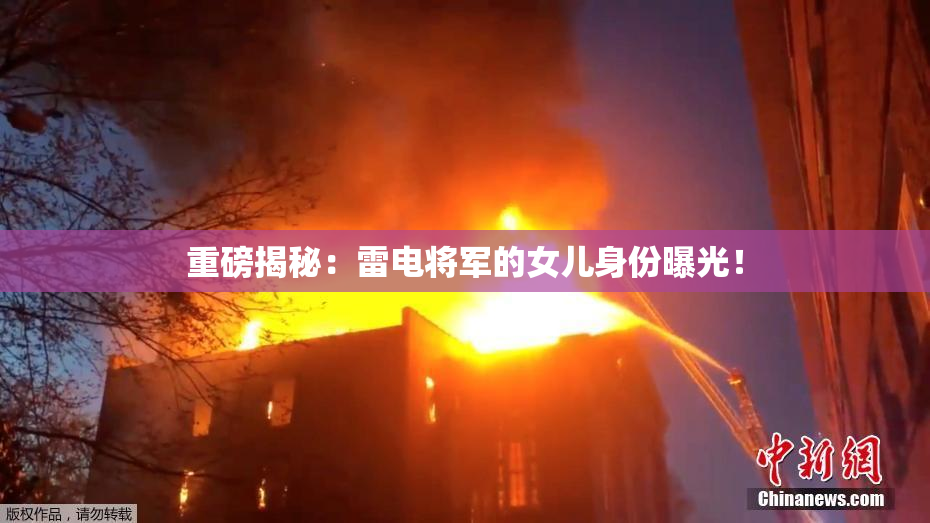 重磅揭秘：雷电将军的女儿身份曝光！