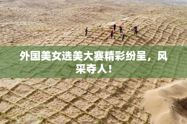 外国美女选美大赛精彩纷呈，风采夺人！