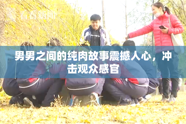 男男之间的纯肉故事震撼人心，冲击观众感官