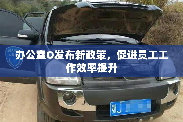 办公室O发布新政策，促进员工工作效率提升