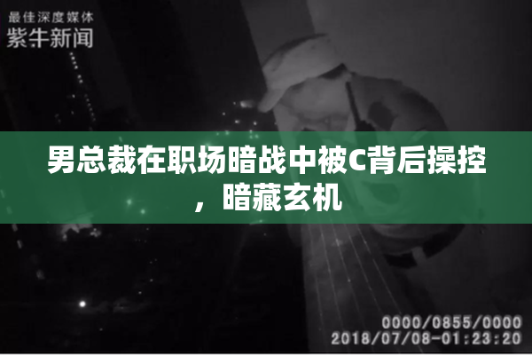 男总裁在职场暗战中被C背后操控，暗藏玄机