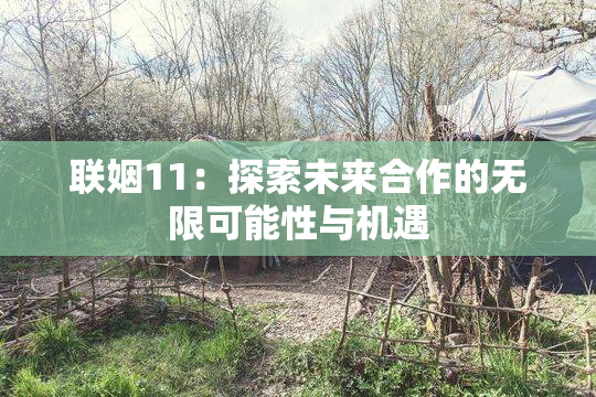 联姻11：探索未来合作的无限可能性与机遇