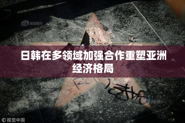 日韩在多领域加强合作重塑亚洲经济格局