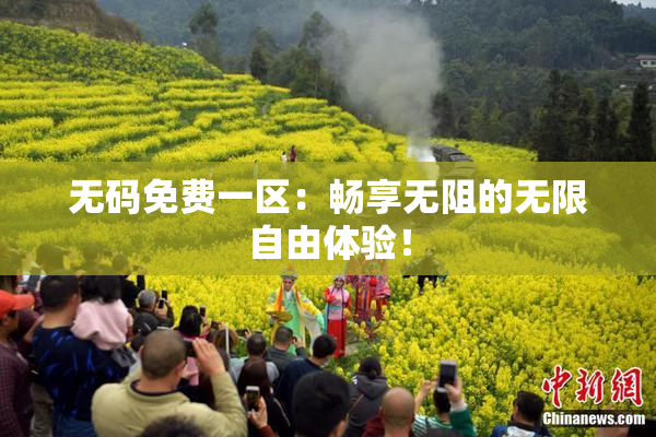 无码免费一区：畅享无阻的无限自由体验！