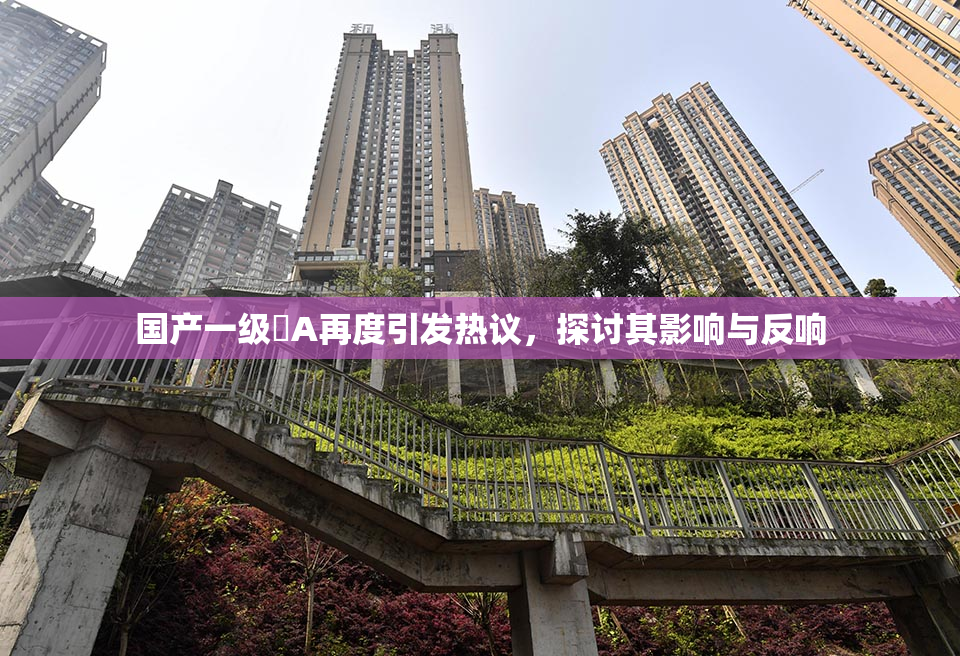 国产一级婬A再度引发热议，探讨其影响与反响