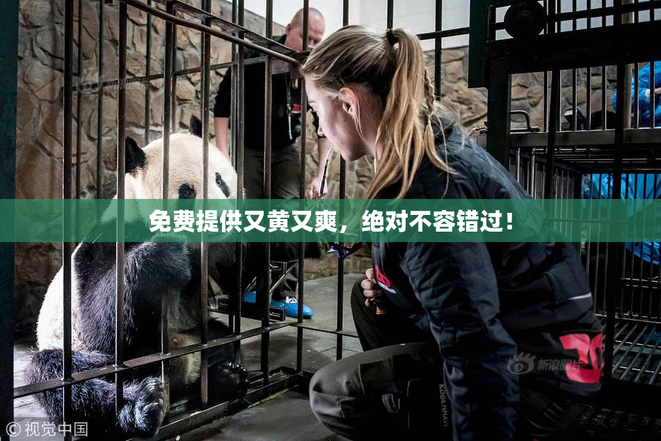 免费提供又黄又爽，绝对不容错过！