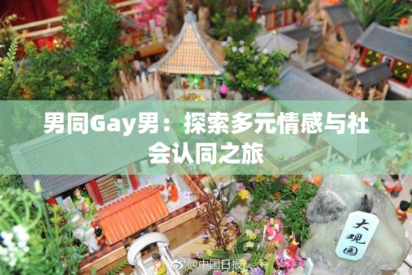 男同Gay男：探索多元情感与社会认同之旅