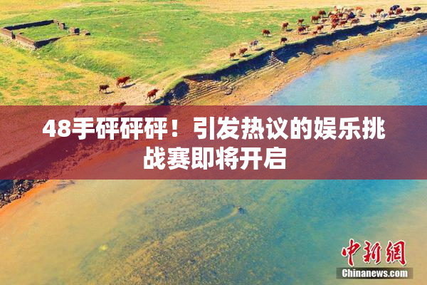 48手砰砰砰！引发热议的娱乐挑战赛即将开启