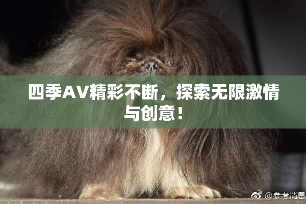四季AV精彩不断，探索无限激情与创意！