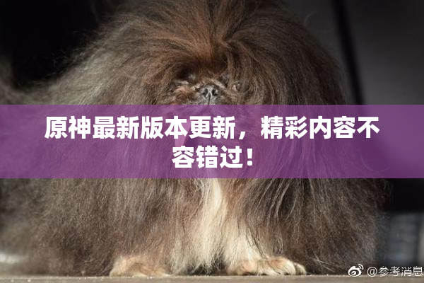 原神最新版本更新，精彩内容不容错过！