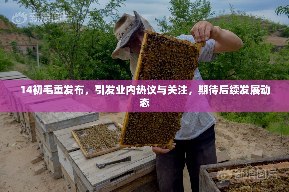 14初毛重发布，引发业内热议与关注，期待后续发展动态