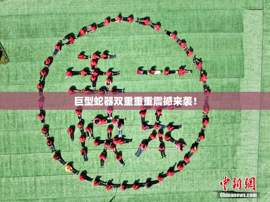 巨型蛇器双重重重震撼来袭！