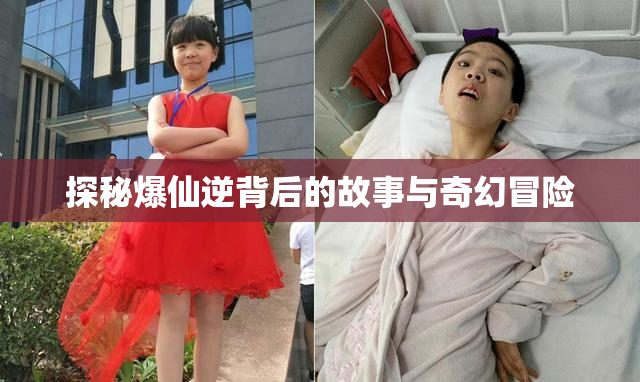 探秘爆仙逆背后的故事与奇幻冒险