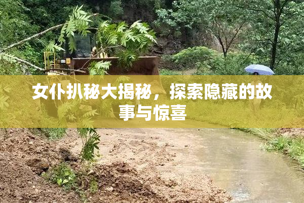 女仆扒秘大揭秘，探索隐藏的故事与惊喜