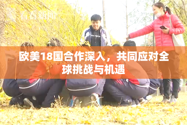 欧美18国合作深入，共同应对全球挑战与机遇