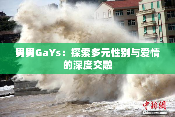 男男GaYs：探索多元性别与爱情的深度交融