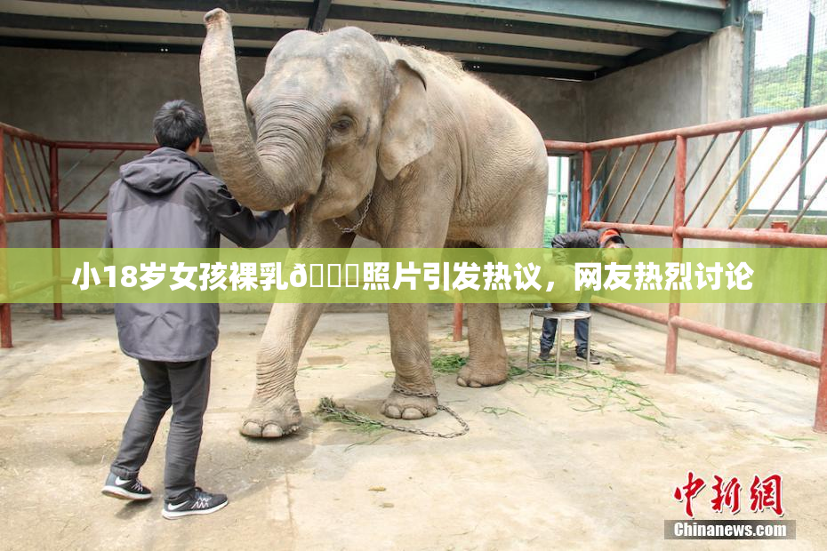 小18岁女孩裸乳🔞照片引发热议，网友热烈讨论