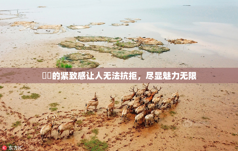 妺妺的紧致感让人无法抗拒，尽显魅力无限