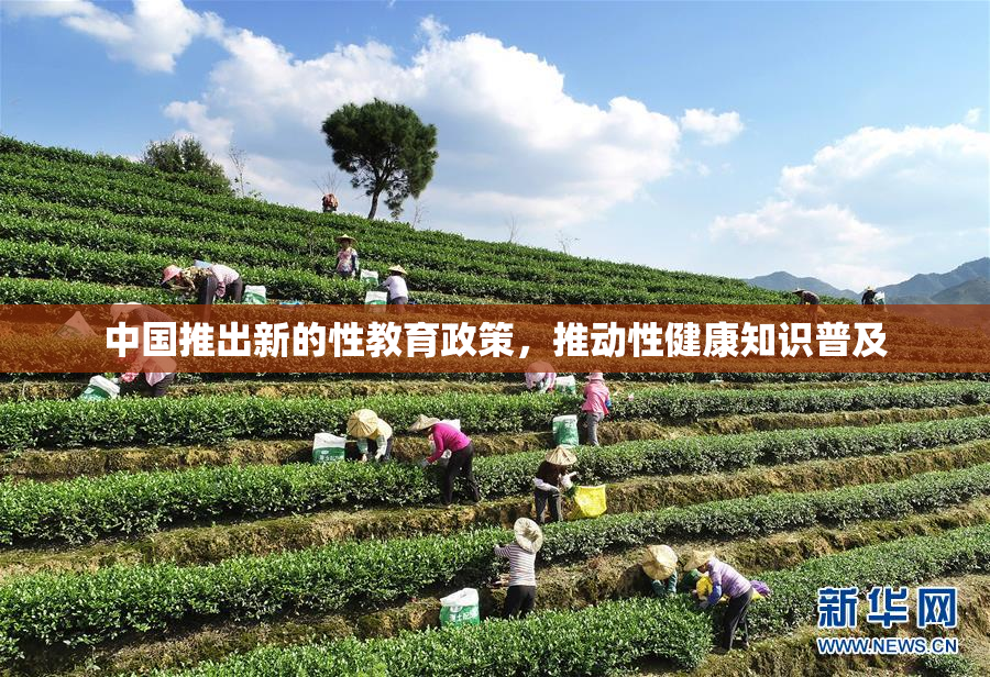 中国推出新的性教育政策，推动性健康知识普及