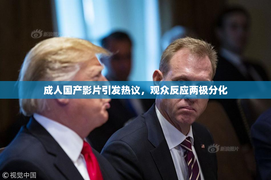 成人国产影片引发热议，观众反应两极分化