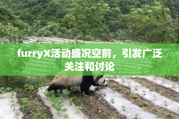 furryX活动盛况空前，引发广泛关注和讨论