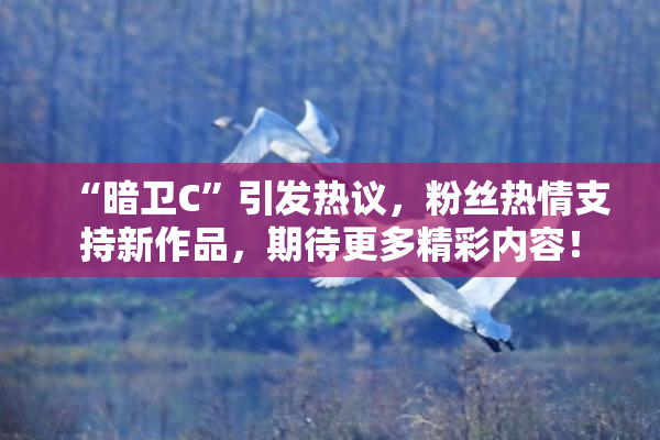 “暗卫C”引发热议，粉丝热情支持新作品，期待更多精彩内容！