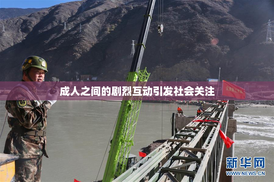 成人之间的剧烈互动引发社会关注