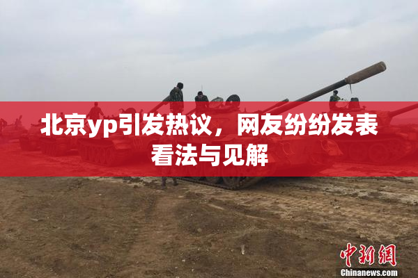 北京yp引发热议，网友纷纷发表看法与见解