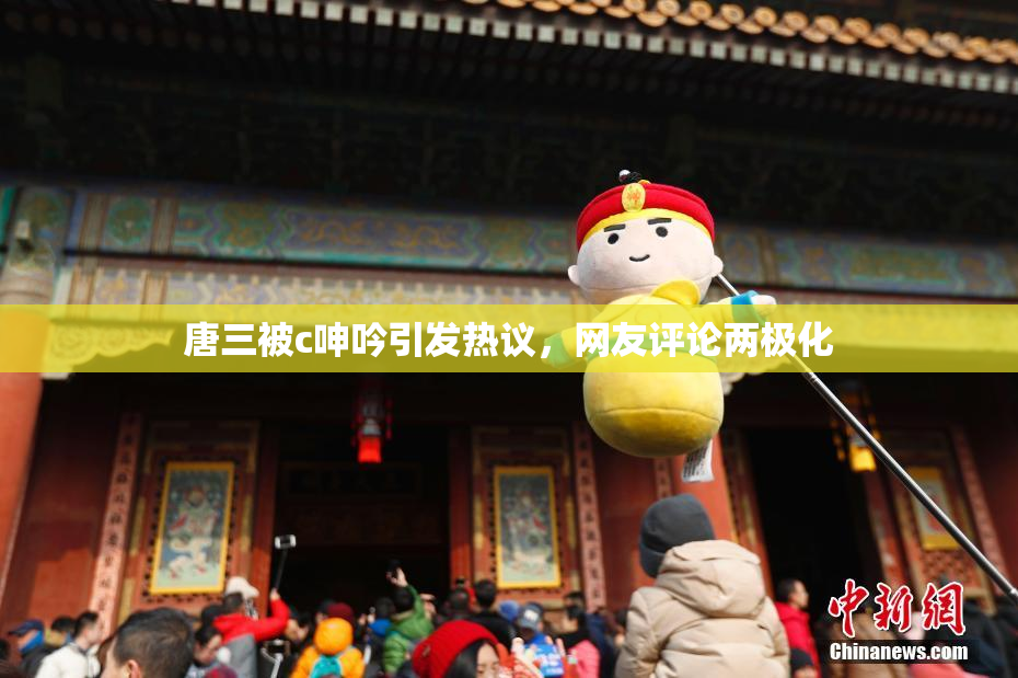 唐三被c呻吟引发热议，网友评论两极化
