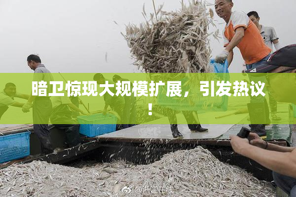 暗卫惊现大规模扩展，引发热议！