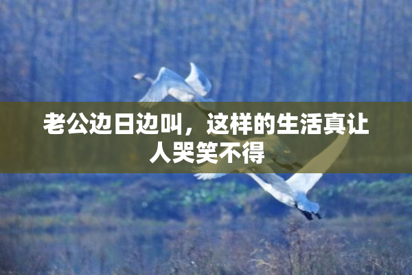 老公边日边叫，这样的生活真让人哭笑不得