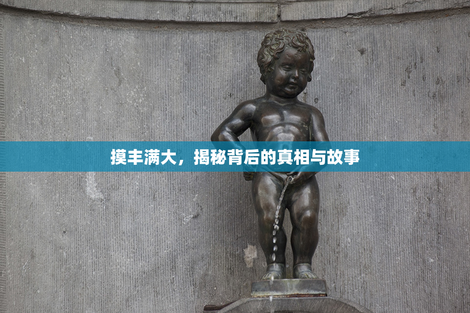 摸丰满大，揭秘背后的真相与故事