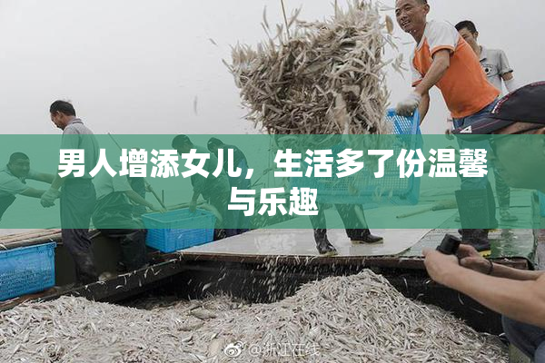男人增添女儿，生活多了份温馨与乐趣