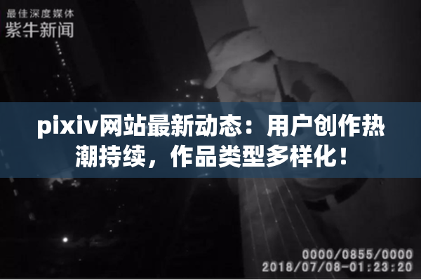 pixiv网站最新动态：用户创作热潮持续，作品类型多样化！