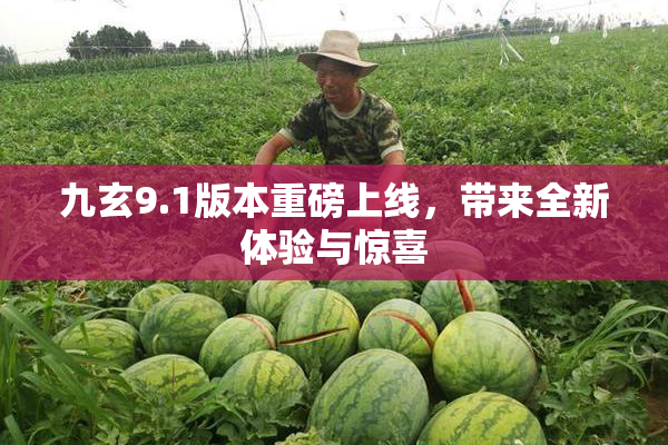 九玄9.1版本重磅上线，带来全新体验与惊喜