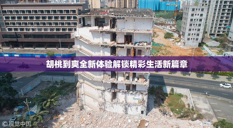 胡桃到爽全新体验解锁精彩生活新篇章