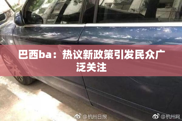 巴西ba：热议新政策引发民众广泛关注