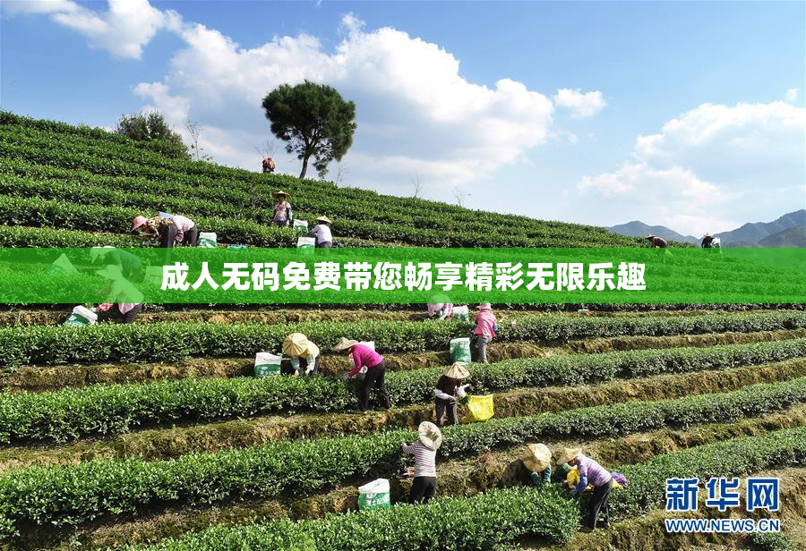 成人无码免费带您畅享精彩无限乐趣