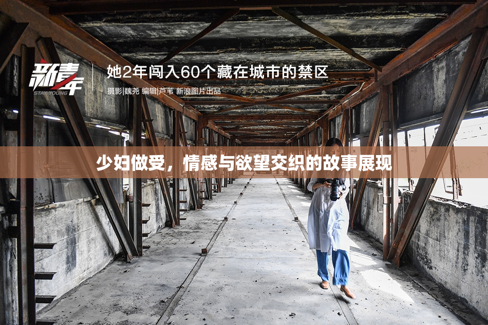 少妇做受，情感与欲望交织的故事展现