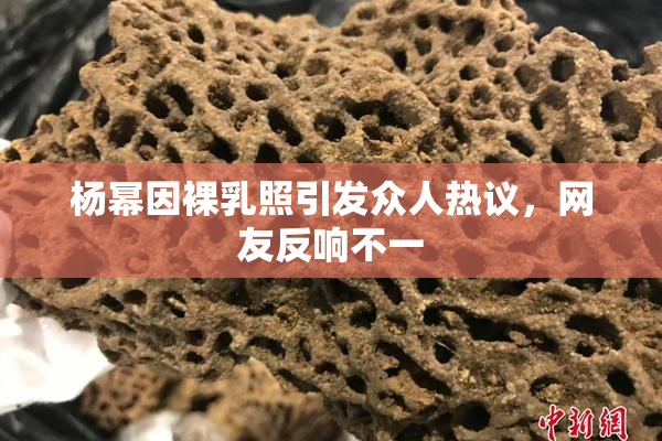 杨幂因裸乳照引发众人热议，网友反响不一