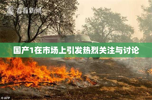 国产1在市场上引发热烈关注与讨论