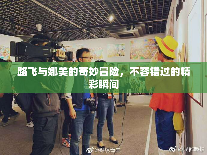 路飞与娜美的奇妙冒险，不容错过的精彩瞬间