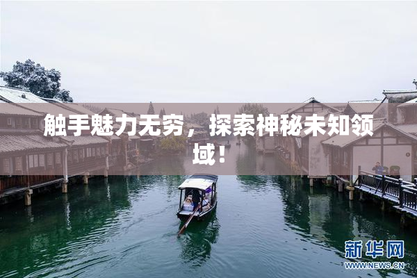 触手魅力无穷，探索神秘未知领域！