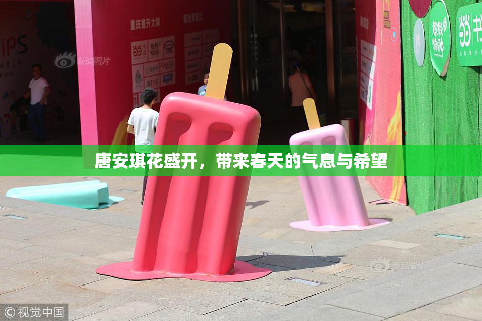 唐安琪花盛开，带来春天的气息与希望