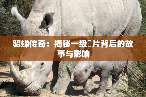 貂蝉传奇：揭秘一级婬片背后的故事与影响