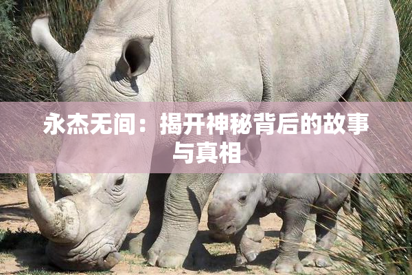 永杰无间：揭开神秘背后的故事与真相